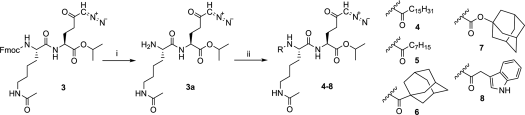 Scheme 2.