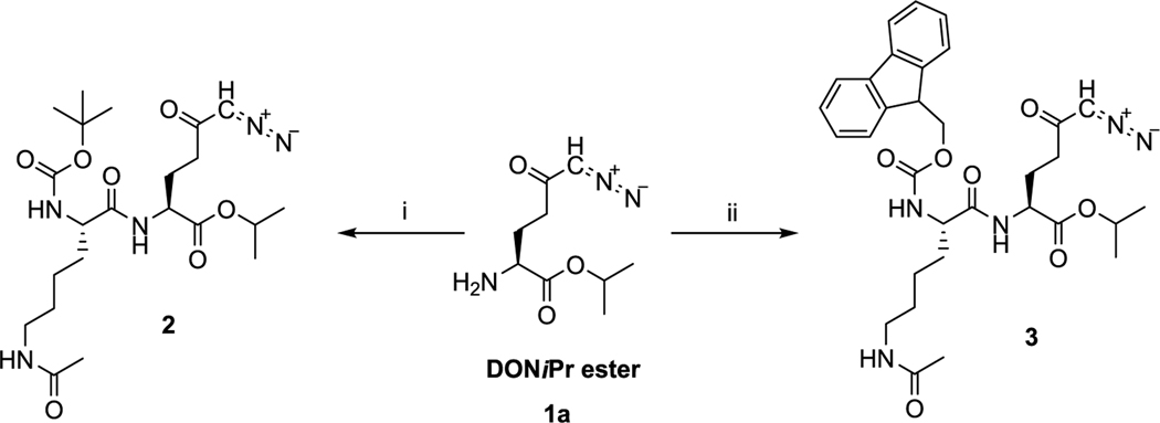 Scheme 1.