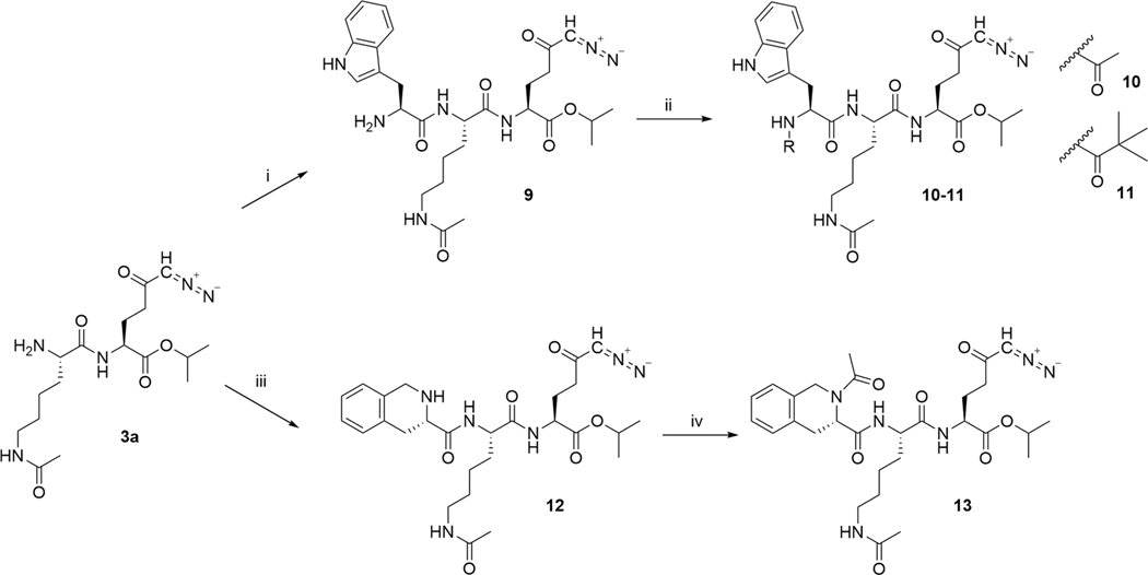 Scheme 3.