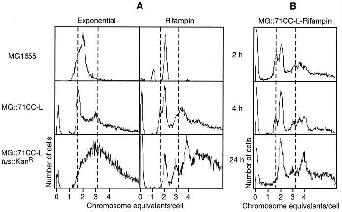 FIG. 1