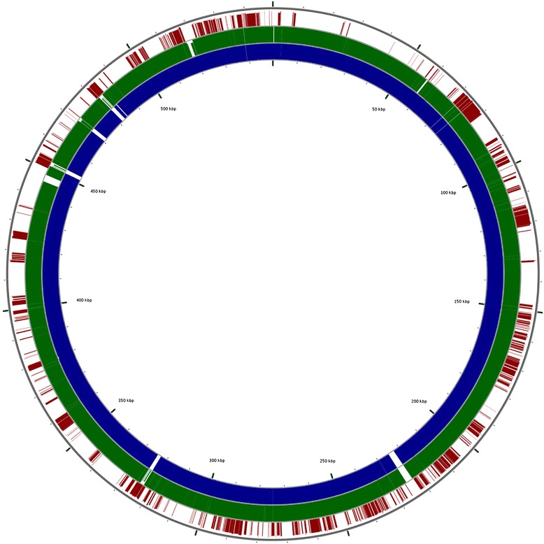 Fig. 4