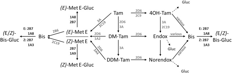 Fig. 6