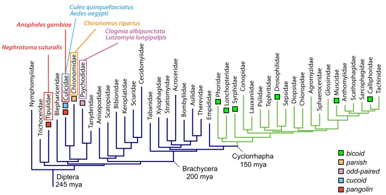 Figure 7.