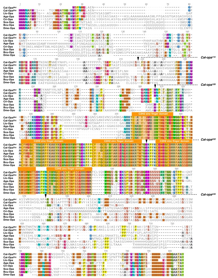 Figure 1—figure supplement 1.