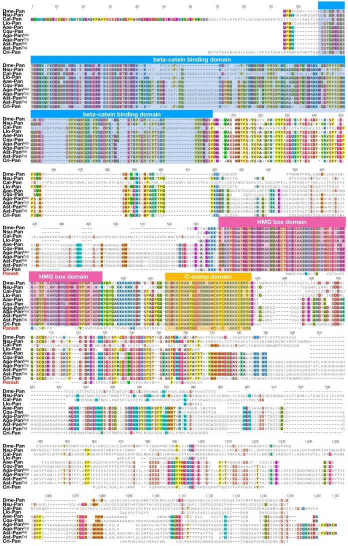 Figure 6—figure supplement 1.