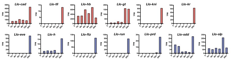 Figure 3—figure supplement 1.