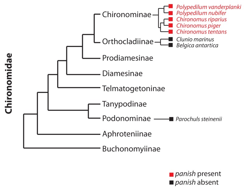 Figure 7—figure supplement 1.