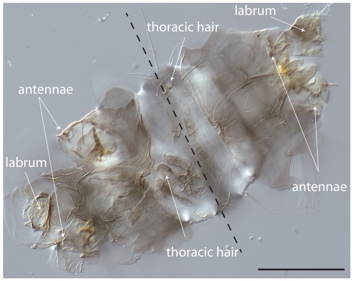 Figure 2—figure supplement 4.