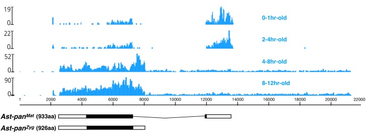 Figure 6—figure supplement 3.