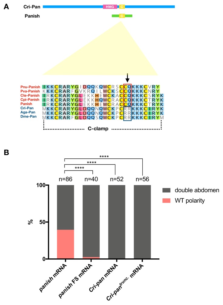 Figure 6—figure supplement 5.