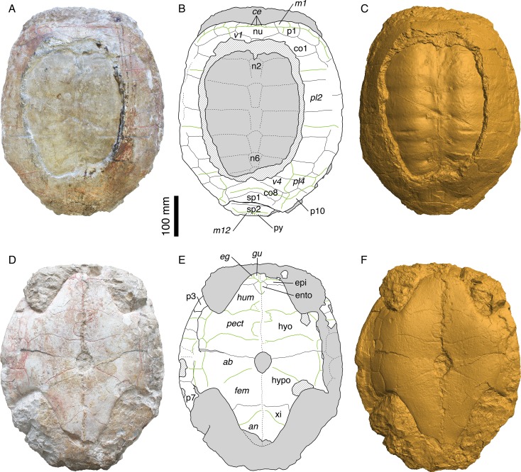 Figure 2