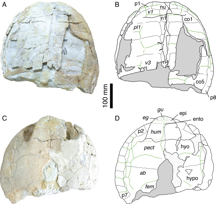 Figure 3