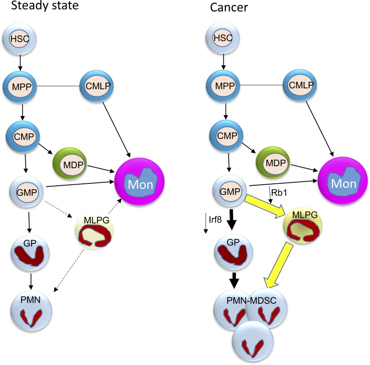 Figure 10.