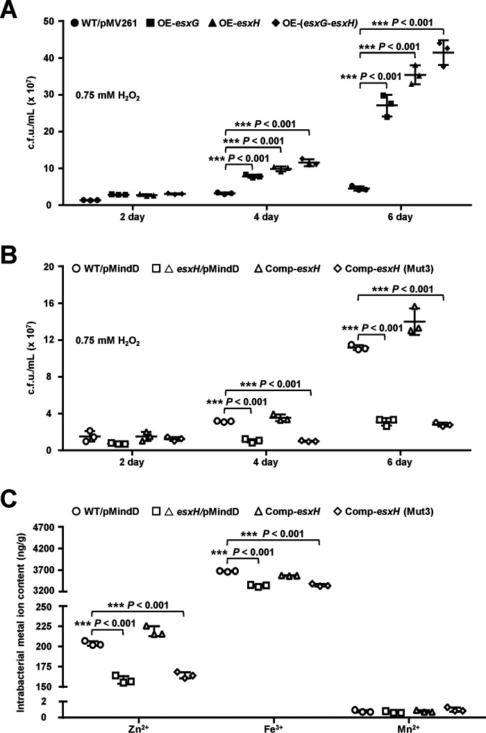 Figure 5.