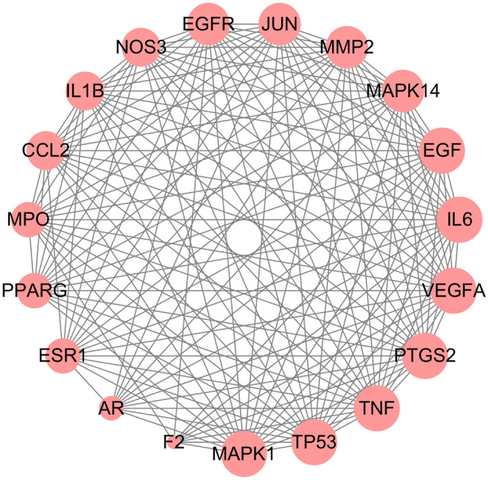 Figure 5