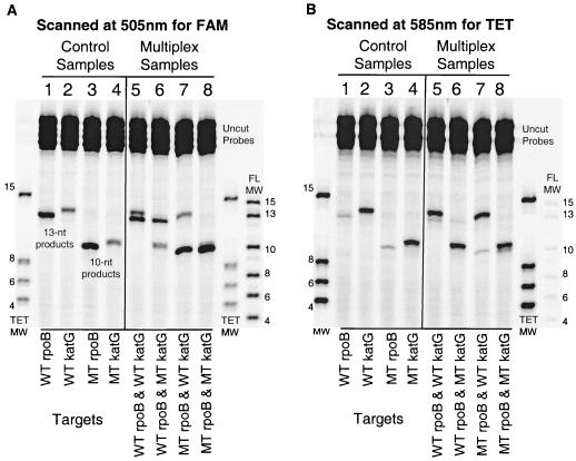 FIG. 4