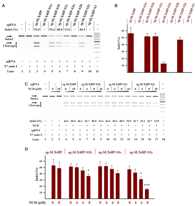 Figure 6.