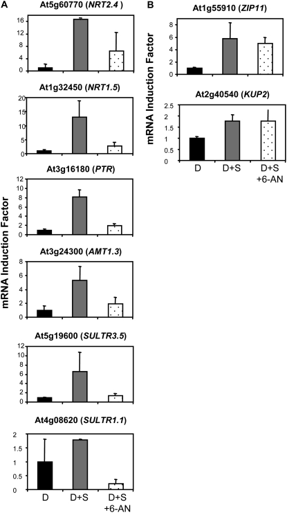 Figure 10.