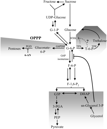 Figure 6.