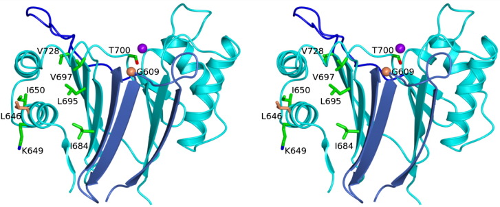 Fig. 6