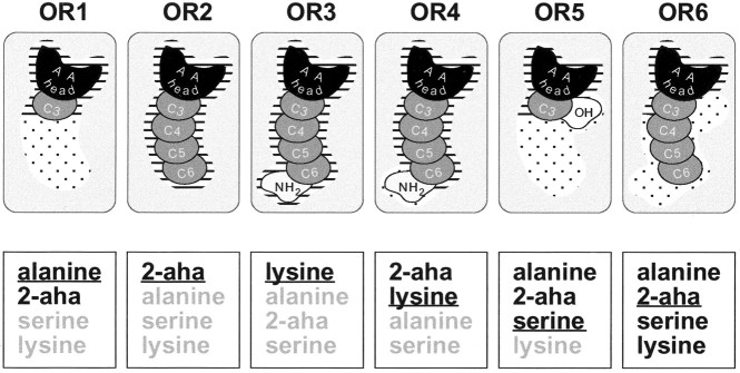 Fig. 10.