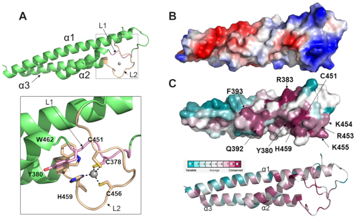 Figure 3.