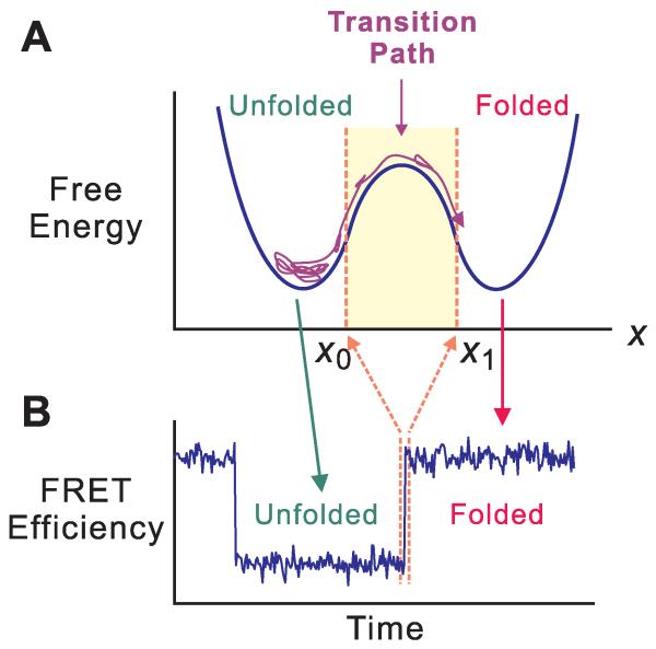 Fig. 1