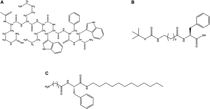 FIGURE 10
