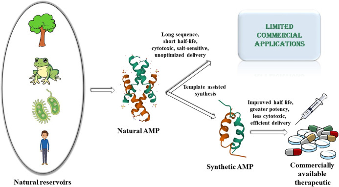 GRAPHICAL ABSTRACT