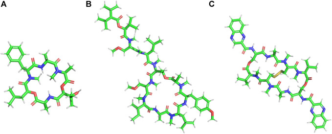 FIGURE 4