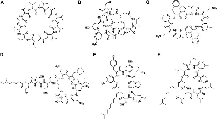 FIGURE 3