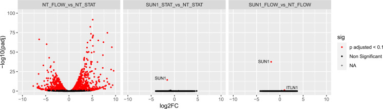 Figure 5—figure supplement 1.