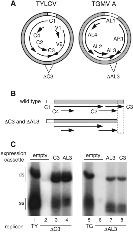 FIG. 1.