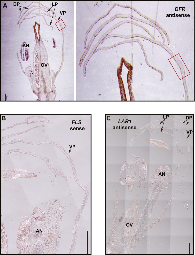 Fig. S4.