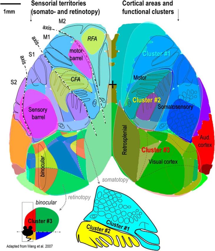 Figure 12.