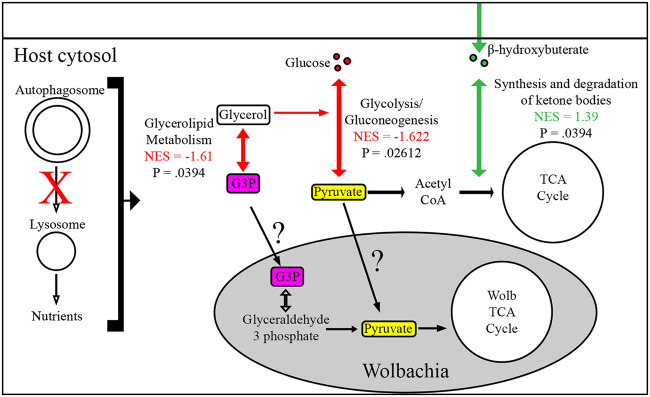 FIG 7