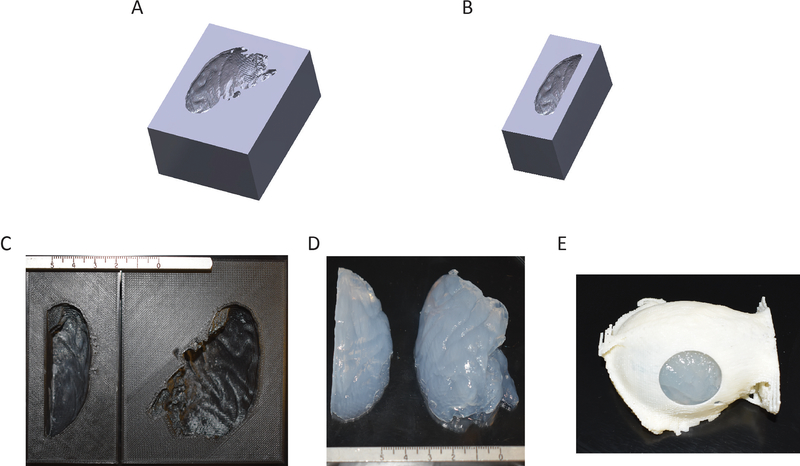 Figure 4: