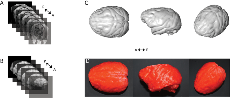 Figure 1:
