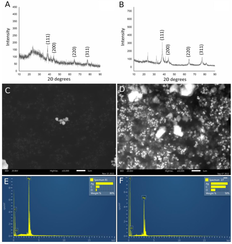 Biosynthesis of Silver Nanoparticles Using Salvia pratensis L. Aerial ...