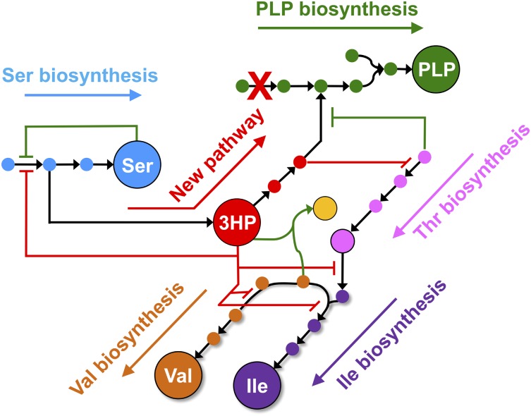 Fig. P1.