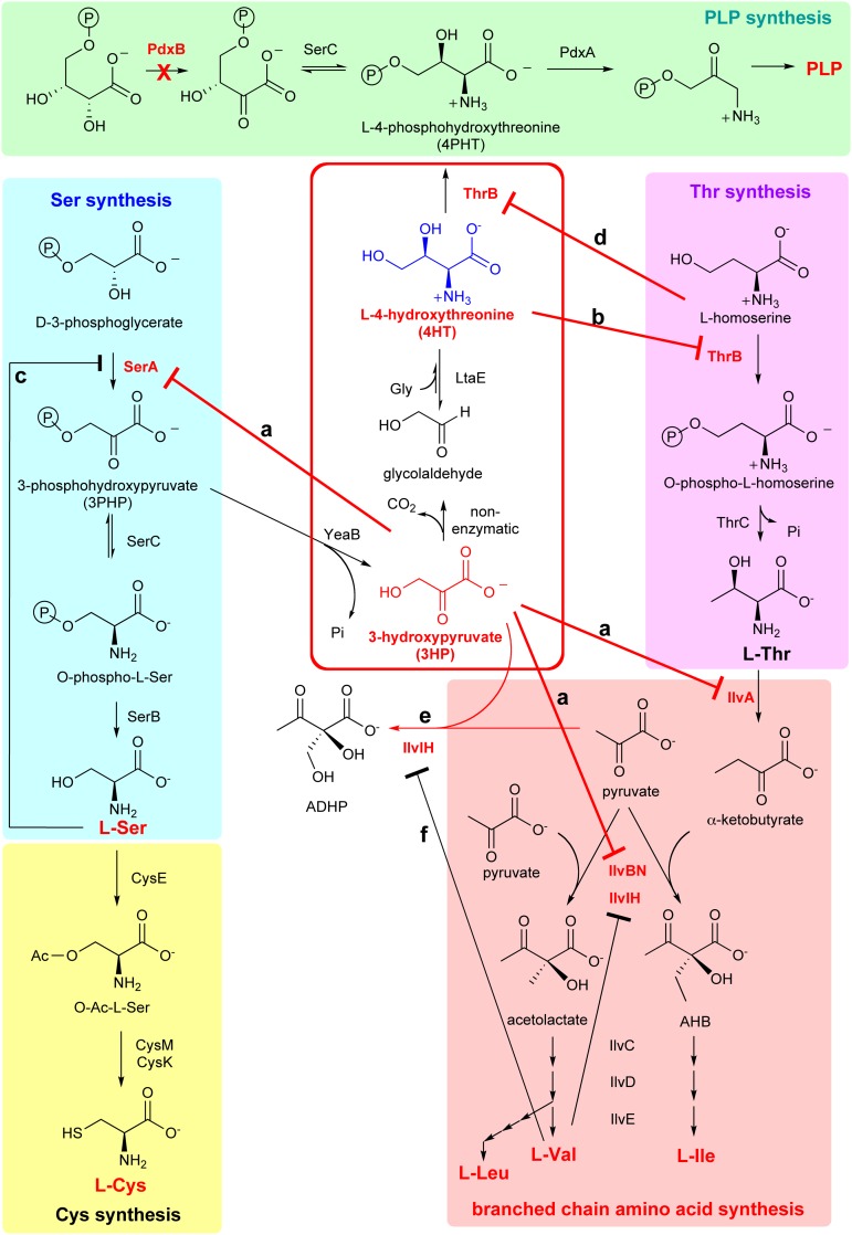 Fig. 2.