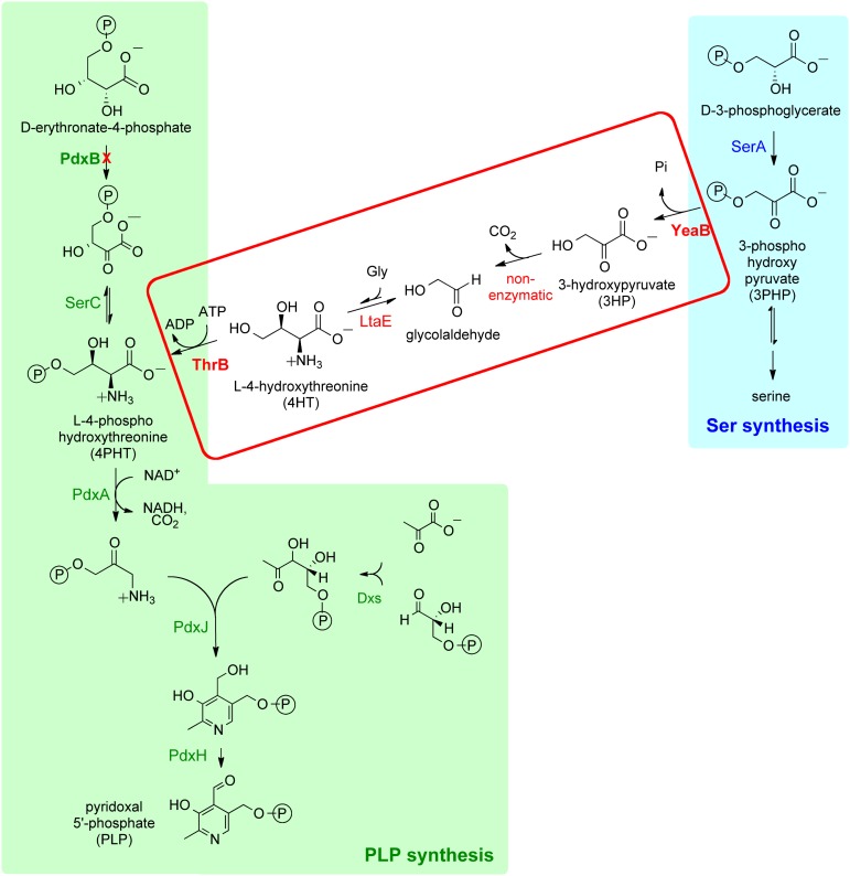 Fig. 1.