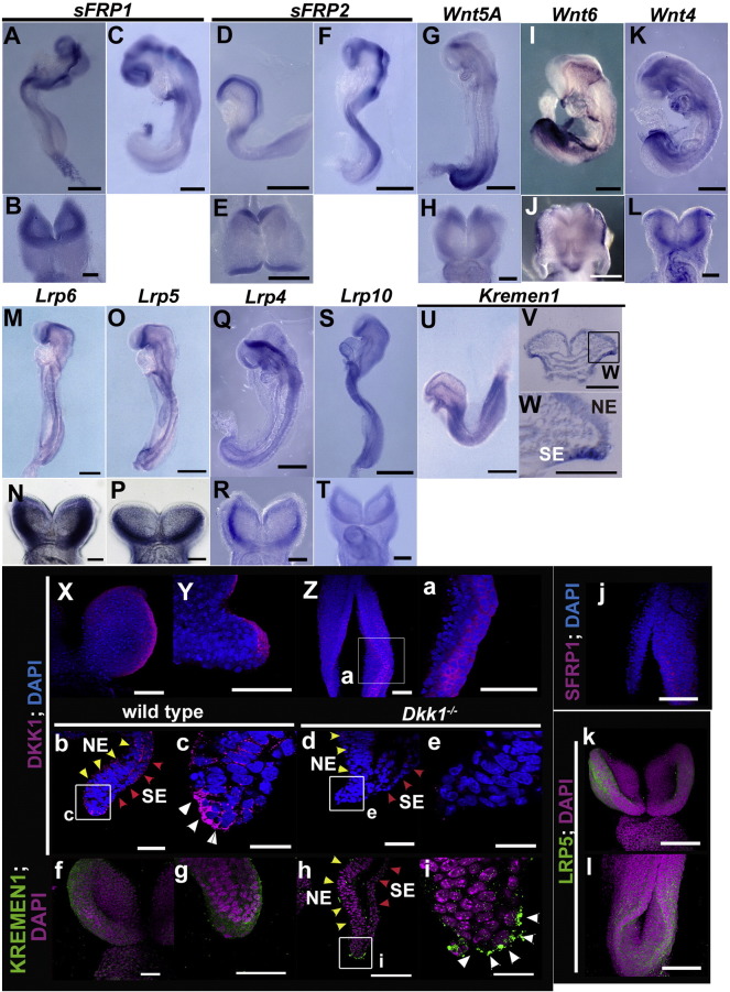 Fig. 3