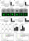 Fig 10