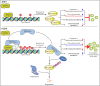 Fig 13