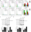 Fig 11