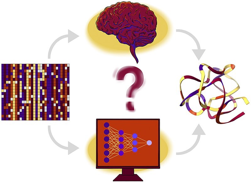 Graphical Abstract