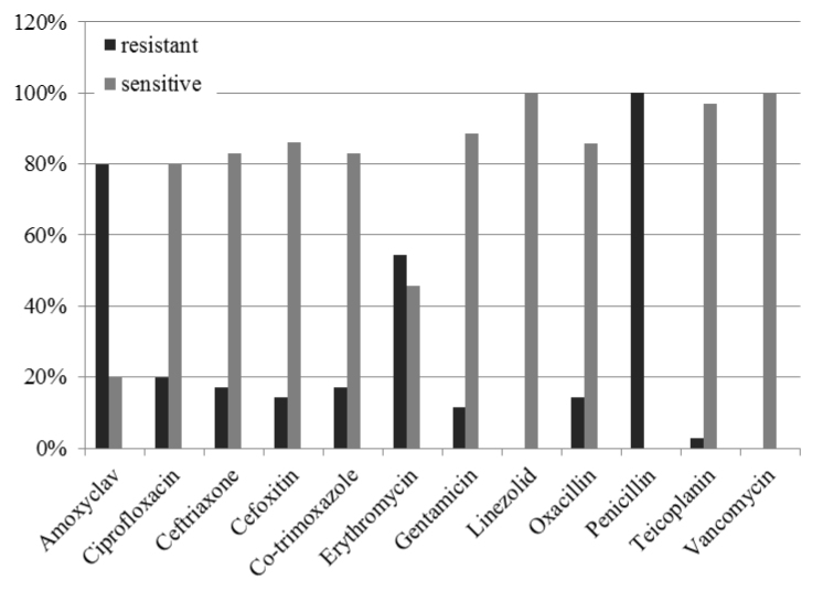 [Table/Fig-6]: