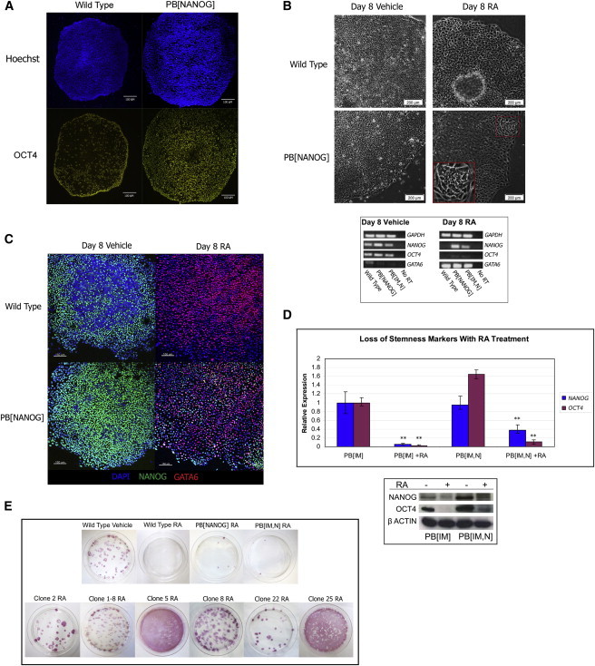 Figure 2