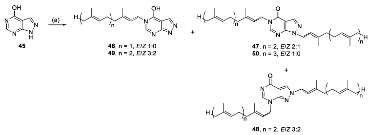 Scheme 5